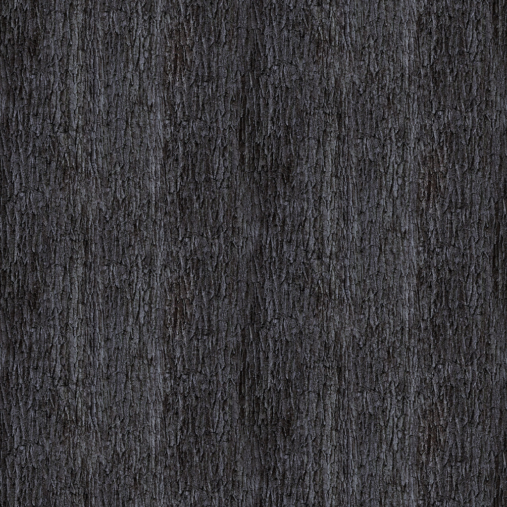  First Light by James Meger for Northcott Fabrics. Tree Bark- Beautiful Close-Up of Dark Black Tree Bark with Intricate Gray Shading. 