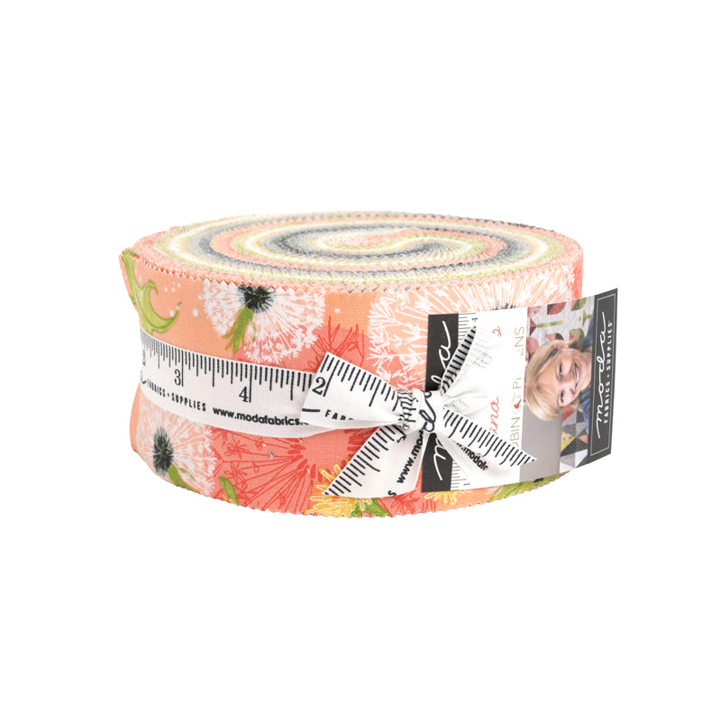 Jelly Roll ﻿- 40 Assorted 2.5" Strips from the Dandi Duo Line.  Fabric
